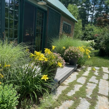 C97FBC6A-B821-4630-9AB6-FE2BFD36A6D0